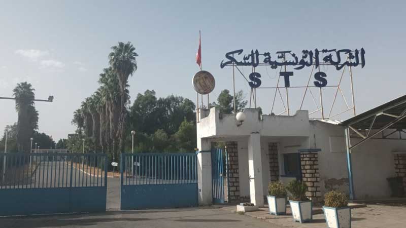 اليوم :مصنع السكر بباجة يستأنف نشاطه